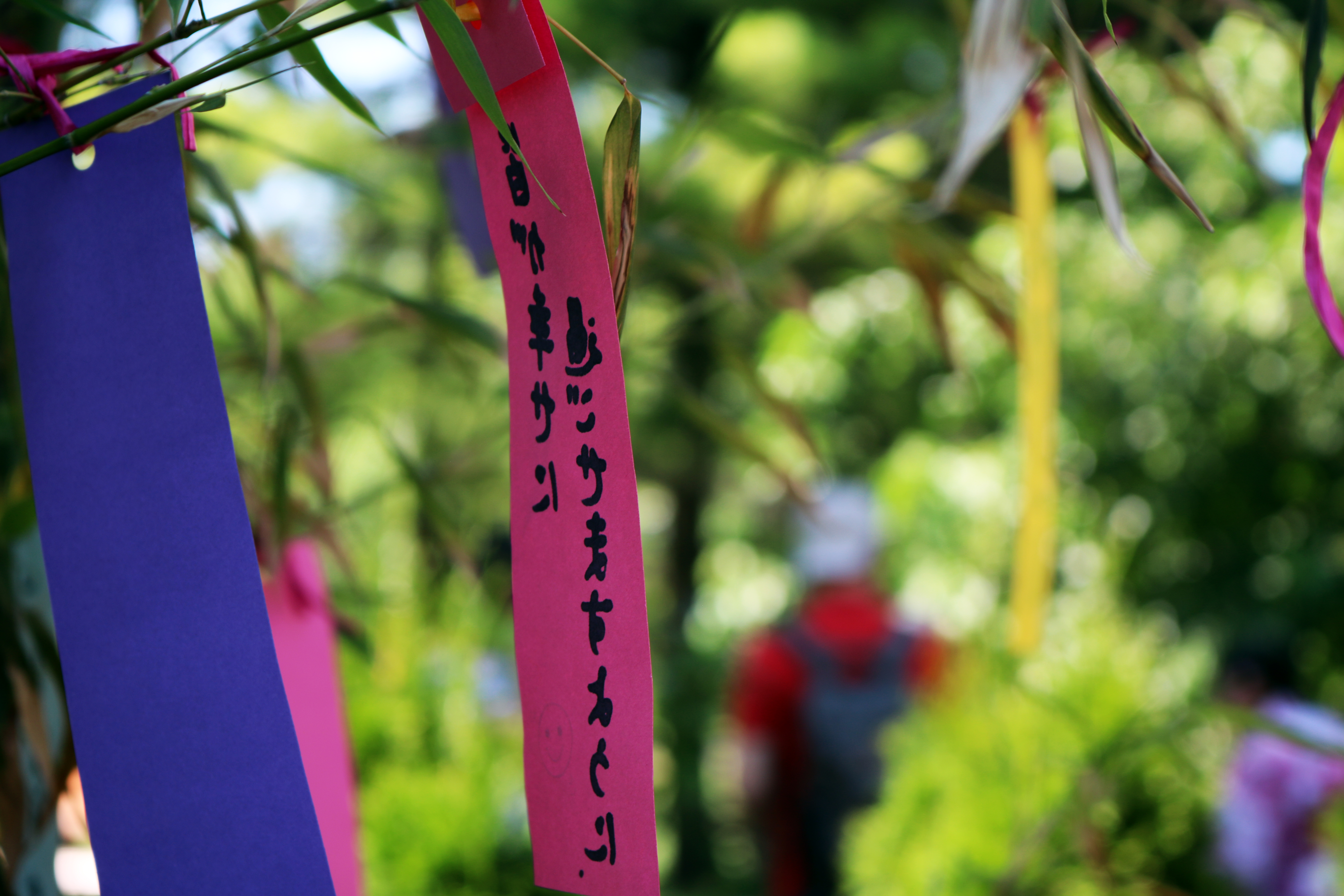afiș Tanabata Matsuri