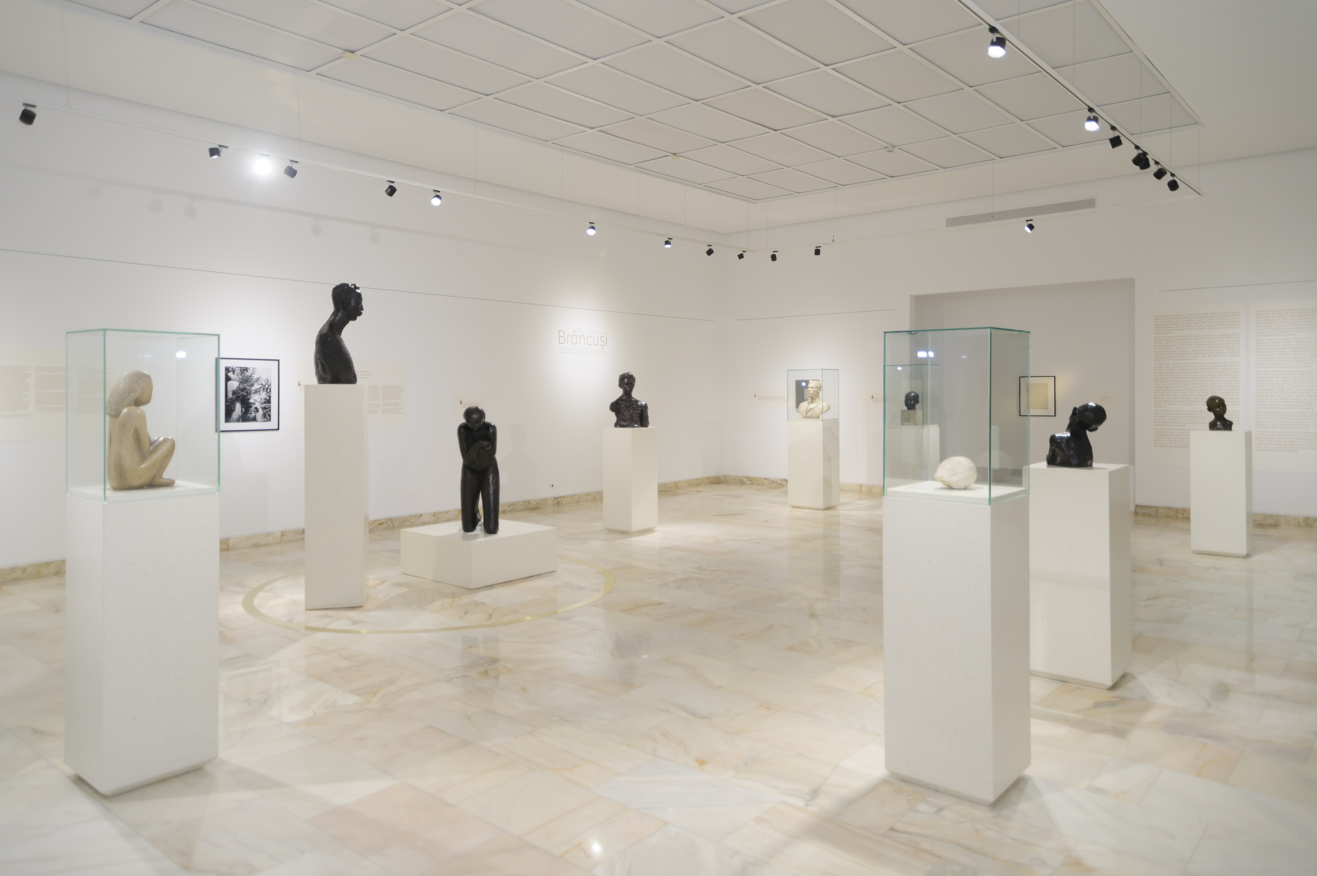 Constantin Brâncuși expus la bienala Europalia de la Bruxelles
