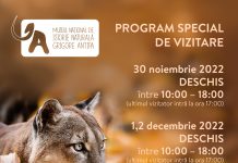 Programul special de vizitare al Muzeului Antipa în perioada 30 noiembrie – 4 decembrie 2022